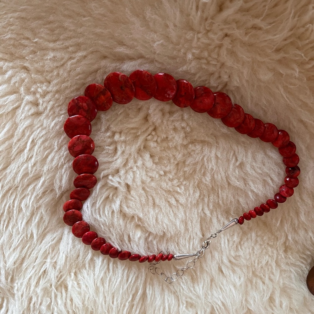 Elegant Red polished stone Necklace and earrings.